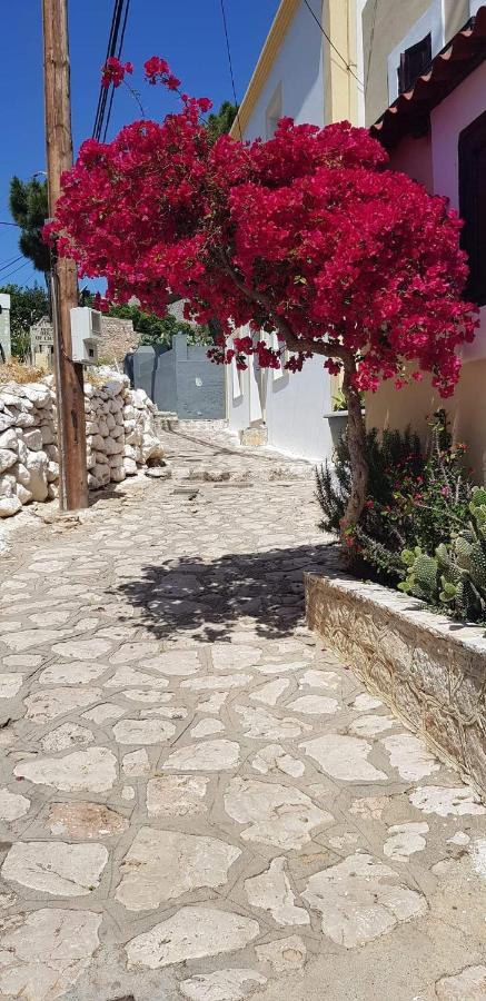האלקי Yiayia'S Home מראה חיצוני תמונה