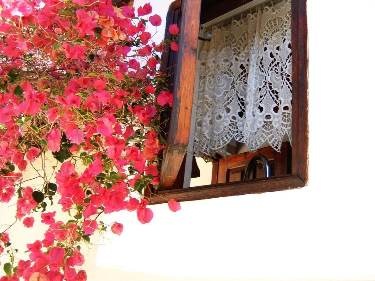 האלקי Yiayia'S Home מראה חיצוני תמונה